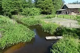 Janowice (Puławy)