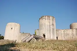 Château du Coudray-Salbart.