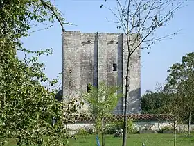 Image illustrative de l’article Tour de l'Isleau