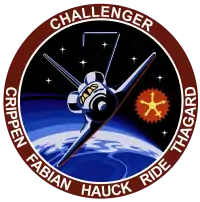 Insigne de la mission