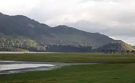 Image illustrative de l’article Savane de Bogota