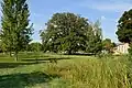 Le parc public au lieu-dit Hëlzent, avec le chêne à l'arrière-plan.