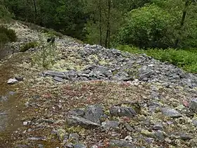 Image illustrative de l’article Castel-Finans