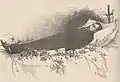 Saint-Elme sur son lit de mort (Le Monde illustré, 24 mai 1884)