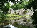 Le Thouet en aval du pont roman.