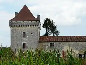 Le donjon de Narbonne.