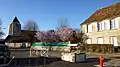 Le puits devant la mairie,et l'église Saint-Loup
