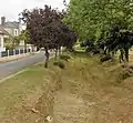 Rue de la mairie.
