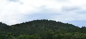 Face ouest du Saint-Mont.