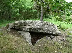 Image illustrative de l’article Dolmen de la Pineyre