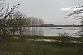Les marais de la Dives en hiver.