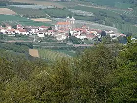 Saint-Didier-sous-Riverie