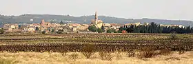 Saint-Pierre-de-Vassols
