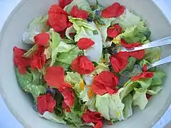 Salade de coquelicot
