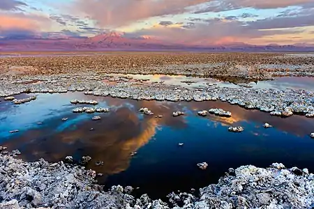Salar de Atacama, dans le fond le volcan Licancabur