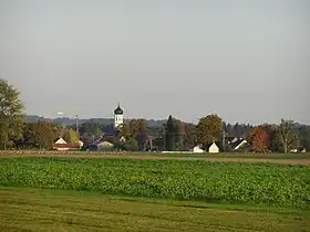 Salgen