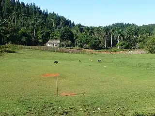 Terrain de baseball