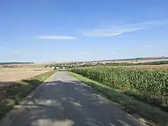 Vue générale.