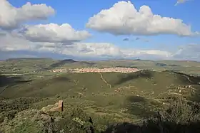 Sardara