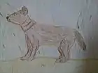 Cynotherium sardous