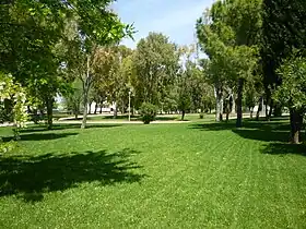 Li Punti