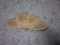 Antheraea yamamai photographiée à Monteaperta (Italie)