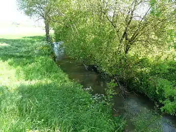 La Sauvanie en amont du pont de l'Épine basse, en limites de Lusignac et Verteillac.