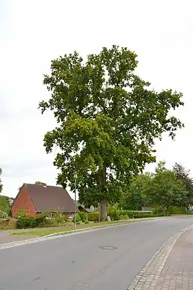 Besdorf