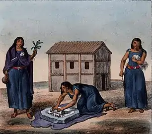 Indiennes Mapuches