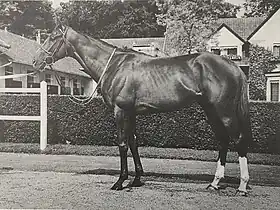 Image illustrative de l’article Sea-Bird II