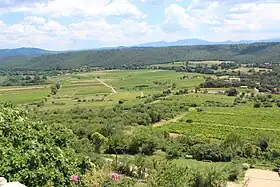 Plaine de vignobles à Seillons-Source-d'Argens.