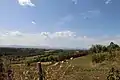 Babina Luka - Panorama