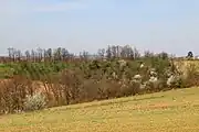 Lukavac - panorama