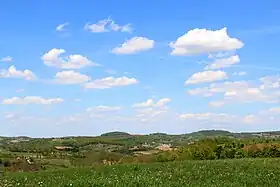 Zabrdica