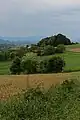Zlataric village - panorama