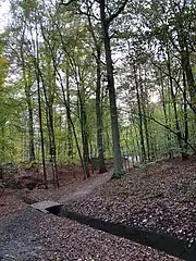 Au croisement avec la drève de l'Infante