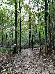 Le sentier du Bocq près du chemin du Réservoir