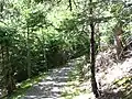 Le sentier du Buttereau.