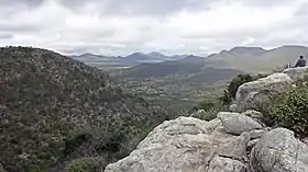 Jaguarari