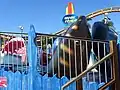 Shark Frenzy
