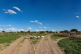 Motokwe