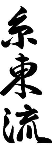 Image illustrative de l’article Shitō-ryū