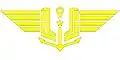 Insigne de manche des « pingouins » du personnel de l'Aviation navale.