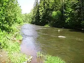 Image illustrative de l’article Sista (rivière)