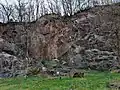 Site d'escalade de la Vieille Rivière à Lanvallay. Site équipé par la Fédération française de la montagne et de l'escalade.