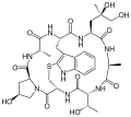 Phalloïdine