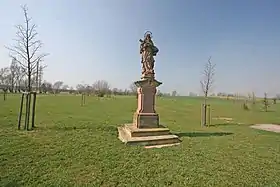 Vitiněves