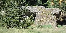 Dolmen et polissoir de la Ferme Brûlée.