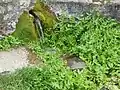 Source du lavoir à la Barbotte.