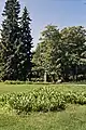 Le parc Eteläpuisto